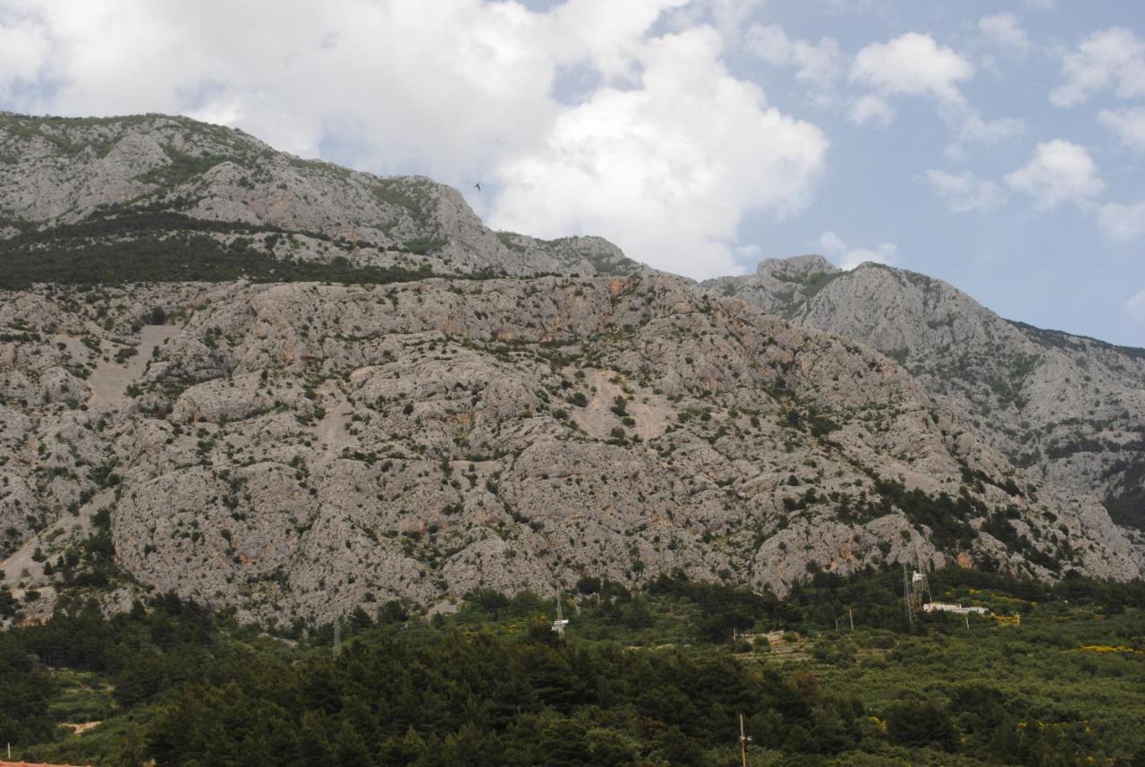Apartments Natura Makarska Eksteriør bilde