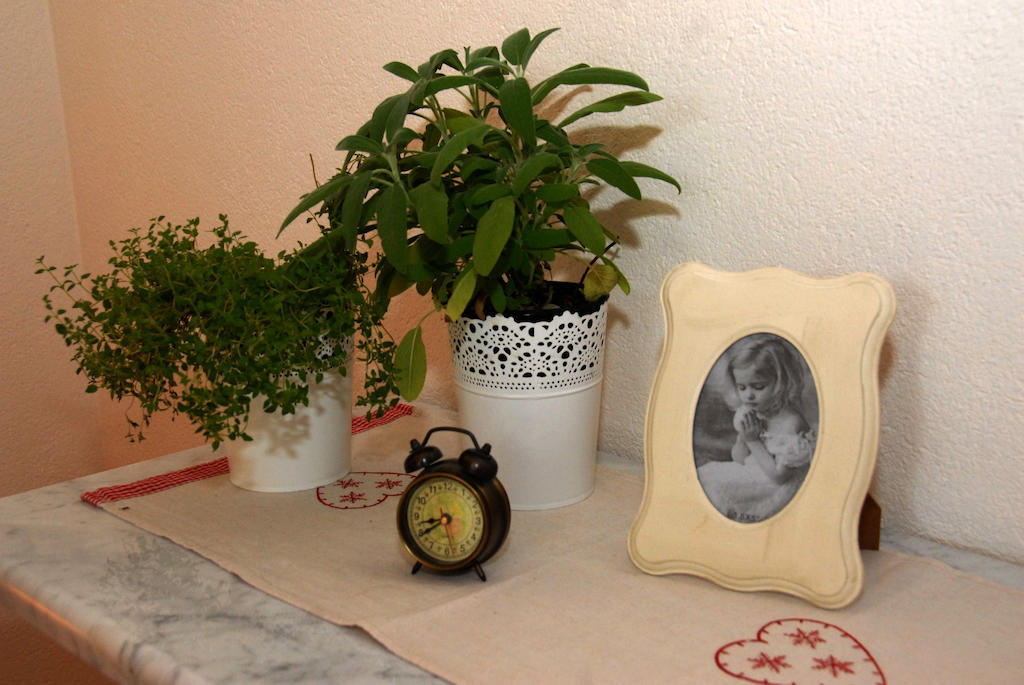 Apartments Natura Makarska Rom bilde